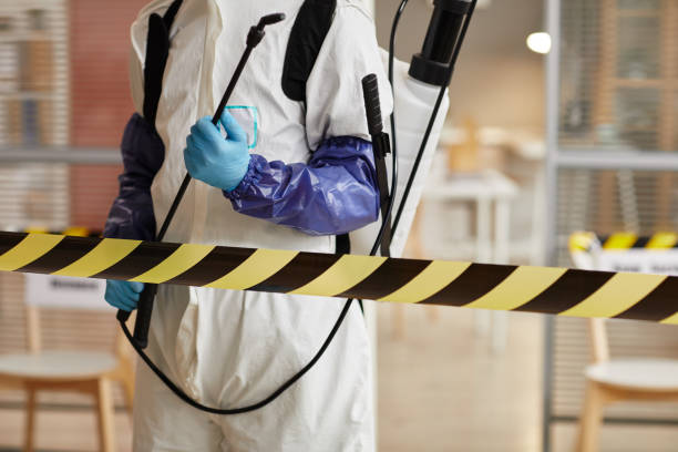 Professional Sewage Cleanup technician working in Washington, NC